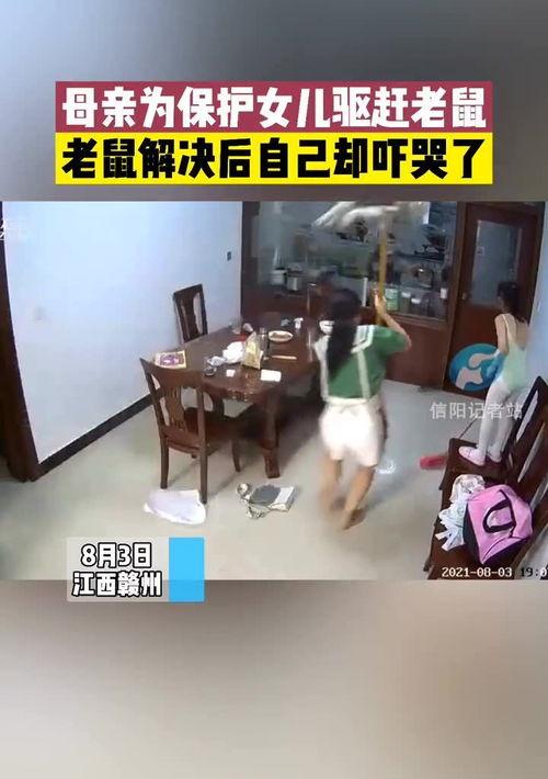 猫叫录音能吓走老鼠吗？ 猫叫声驱赶老鼠