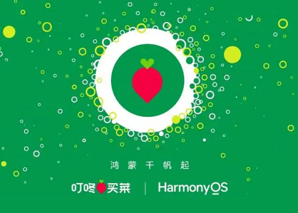 叮咚杂货宣布HarmonyOS原生应用开发