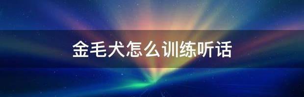 金毛犬怎么训练听话 怎样训练金毛狗听话