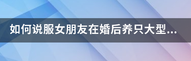 如何说服女朋友在婚后养只大型犬？ 大型犬只