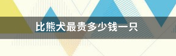 比熊犬图片价格多少钱一只 比熊犬最贵多少钱一只