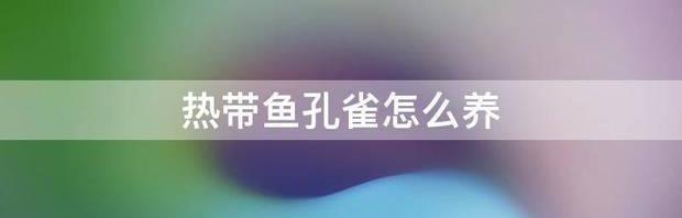 孔雀鱼怎么养才不容易死 热带鱼孔雀怎么养