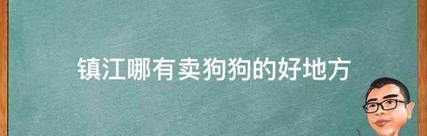 镇江哪有卖狗狗的好地方 丹阳宠物市场狗价格