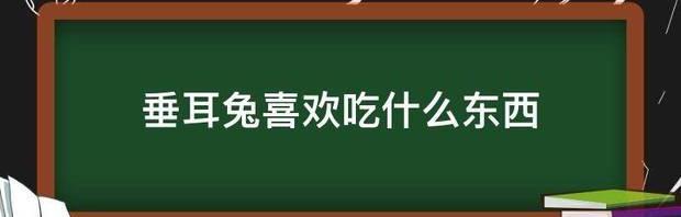 垂耳兔喜欢吃什么东西 垂耳兔喜欢吃什么