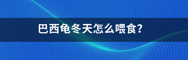 巴西龟冬天怎么喂食？ 巴西龟冬天要喂食吗