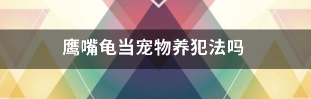 鹰嘴龟当宠物养犯法吗 养人工繁殖的鹰嘴龟犯法吗