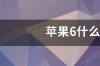 苹果6是哪一年上市？ 苹果6哪一年上市