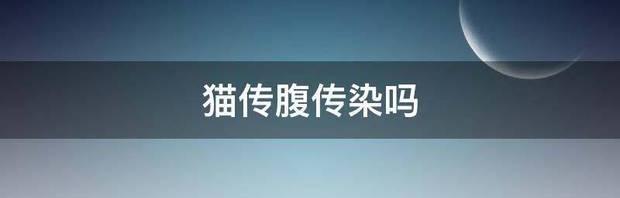 猫传腹传染吗 猫传腹会传染给人类吗