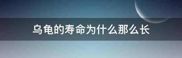 乌龟的寿命为什么那么长 乌龟的寿命为什么那么长?