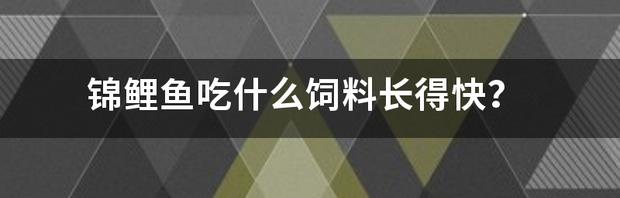 锦鲤鱼吃什么饲料长得快？ 锦鲤鱼吃什么长得快