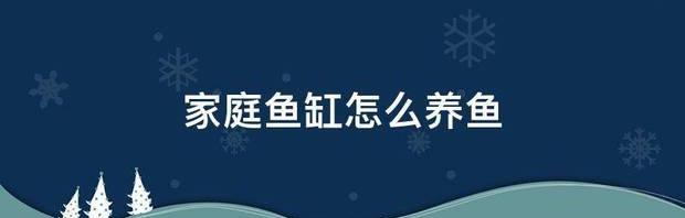 家庭鱼缸怎么养鱼 家庭鱼缸