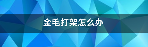 金毛打架怎么办 金毛打架