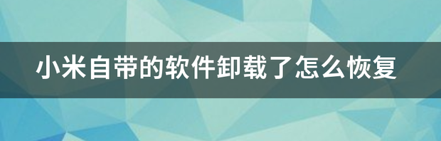 小米自带的软件卸载了怎么恢复 软件卸载了怎么找回