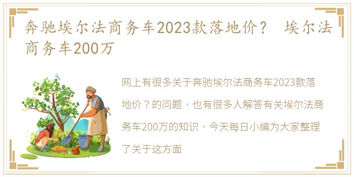 奔驰埃尔法商务车2023款落地价？ 埃尔法商务车200万