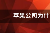 苹果公司为什么没有出iPhone9？ 为什么没有iphone9