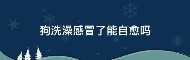 狗洗澡感冒了能自愈吗 狗狗感冒自愈几天能好