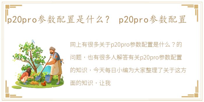 p20pro参数配置是什么？ p20pro参数配置