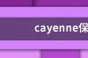 cayenne保时捷中文名是什么？ cayenne保时捷中文名