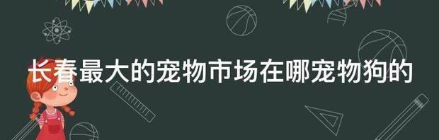 长春最大的宠物市场在哪宠物狗的 长春宠物猫大型市场在哪里