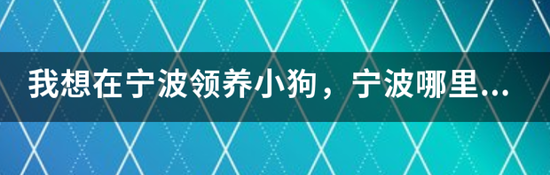 宁波鄞州区有哪些宠物医院？希望能有地址或电话号码 宁波宠物领养中心地址