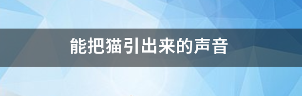 猫表示没有威胁的声音？ 猫表示友好的声音mp3