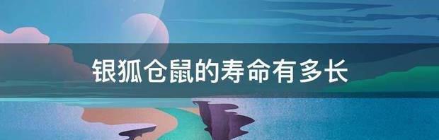 银狐仓鼠寿命多长？ 银狐仓鼠的寿命有多长