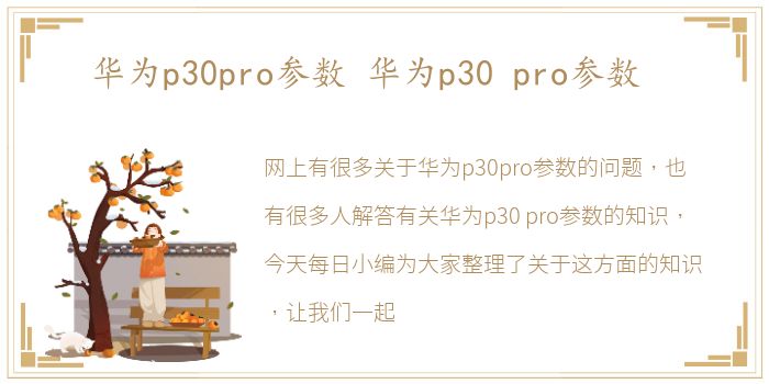 华为p30pro参数 华为p30 pro参数