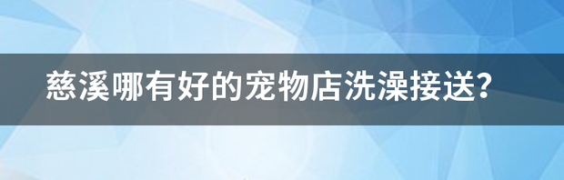 慈溪哪有好的宠物店洗澡接送？ 宠物洗澡上门接送