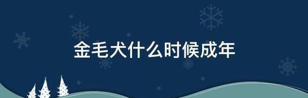 金毛犬什么时候成年 金毛犬成年