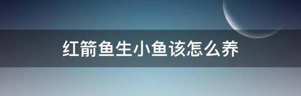 红箭鱼生小鱼了，怎么养？ 红箭鱼生小鱼