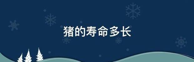 猪的寿命最长是多少年？ 猪的寿命最长时间是多少年