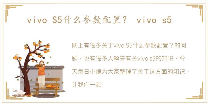 vivo S5什么参数配置？ vivo s5