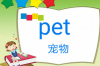 pet是什么意思 英语pet是什么意思