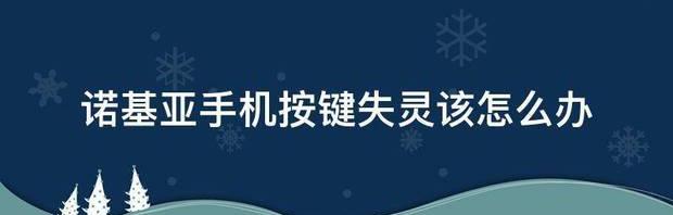 诺基亚920按键介绍？ 诺基亚新款按键手机