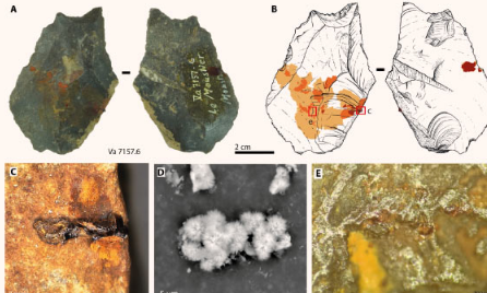 科学家称尼安德特人创造了用赭石粘合剂粘合在一起的石器