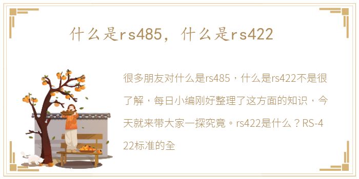 什么是rs485，什么是rs422