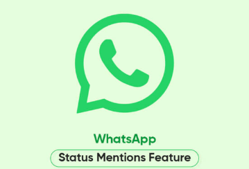 WhatsApp 2.24.11.15测试版推出全新状态提及功能