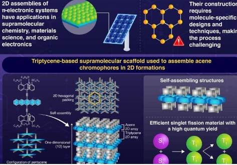 构建更好的太阳能电池利用三蝶烯支架组装二维分子结构